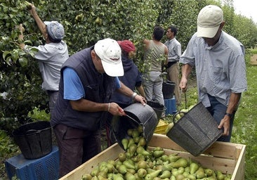 Una depreciación que también se hace sentir en el cereal y los frutales de regadío