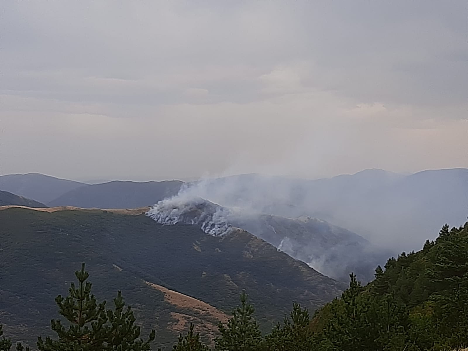 Imagen del incendio registrado en el paraje Calamantío.