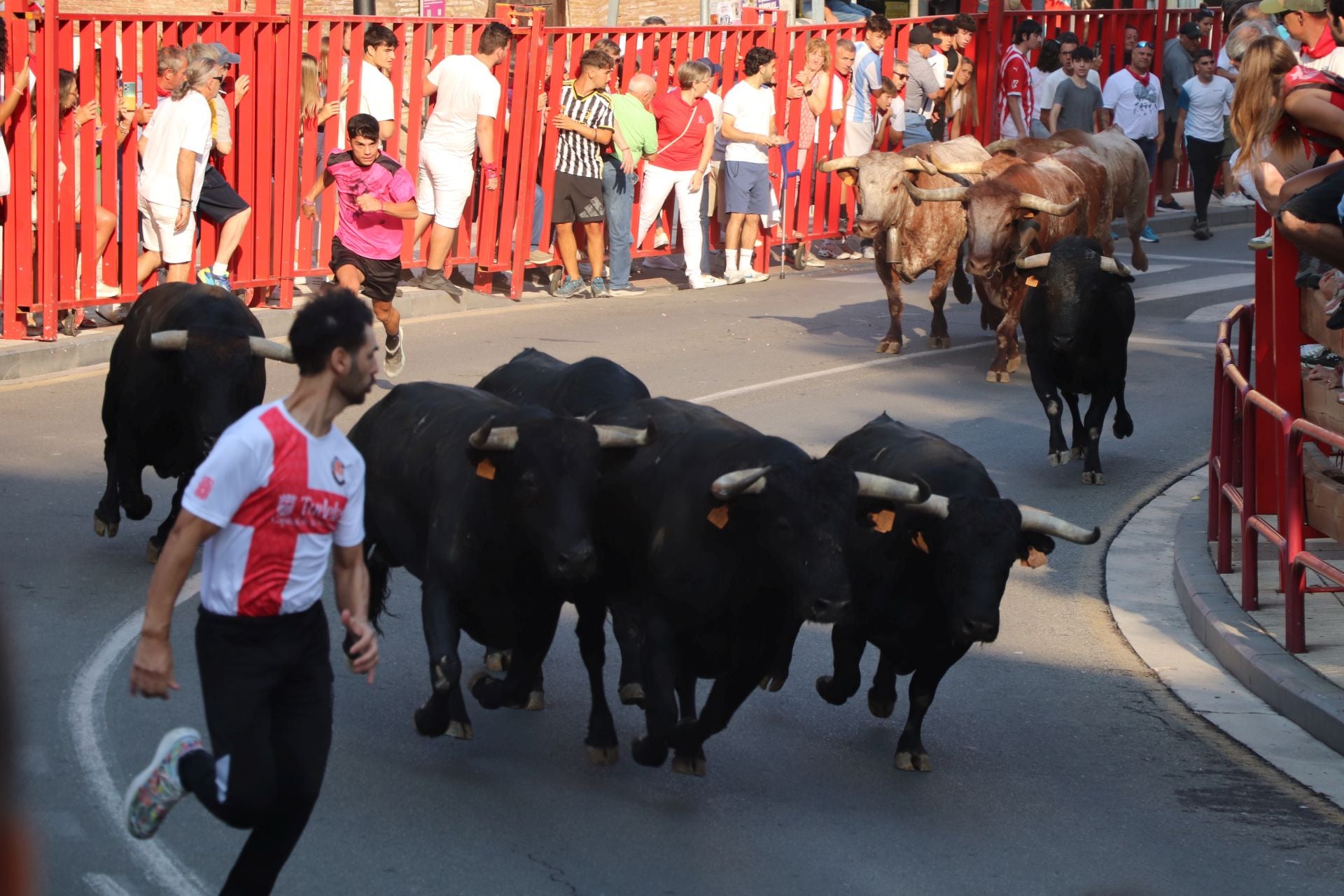 Viernes de fiestas con encierro, pañuelo para los más pequeños y tortillas de papata