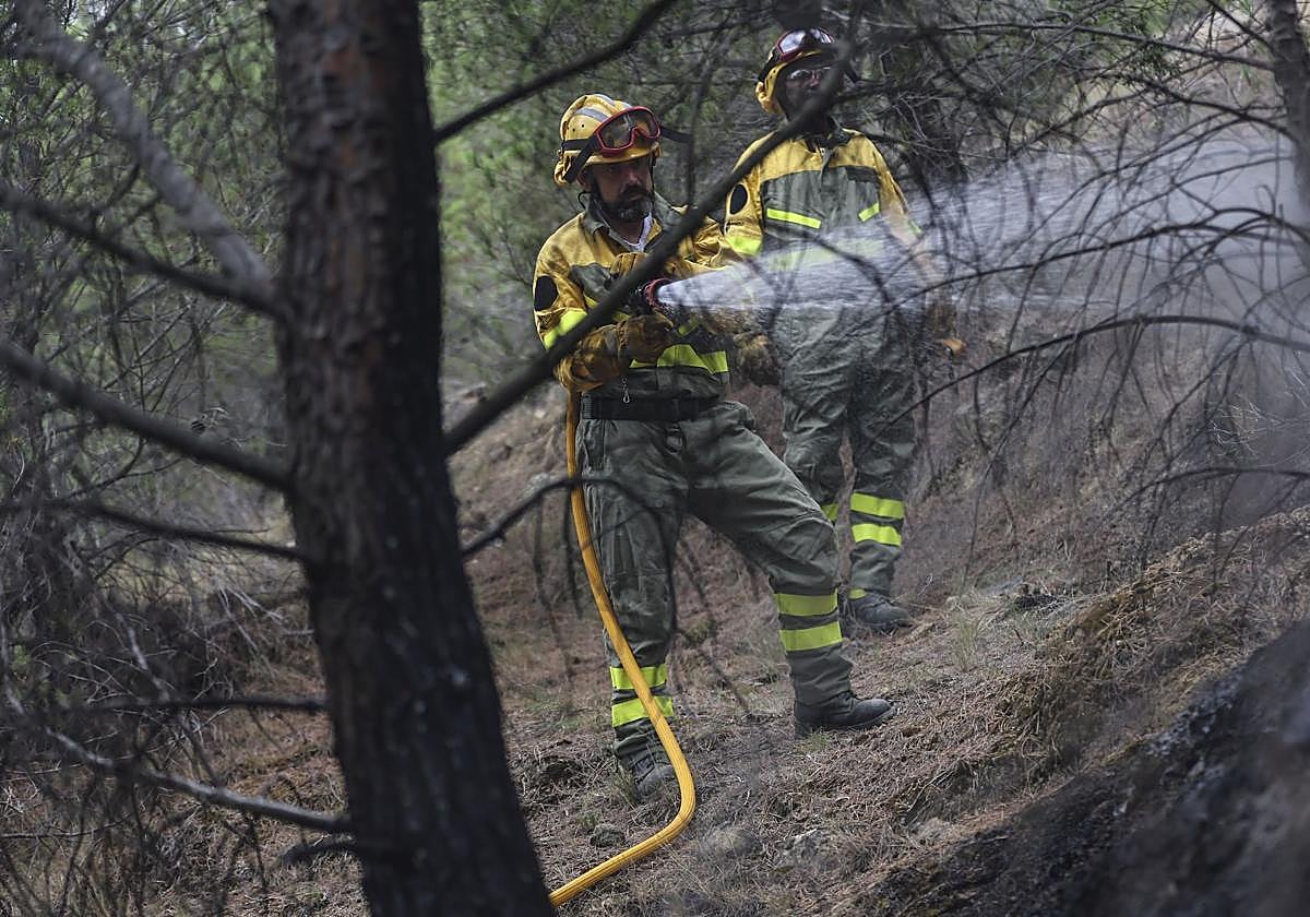 Bomberos forestales trabajan en la extinción de un incendio esta misma semana.