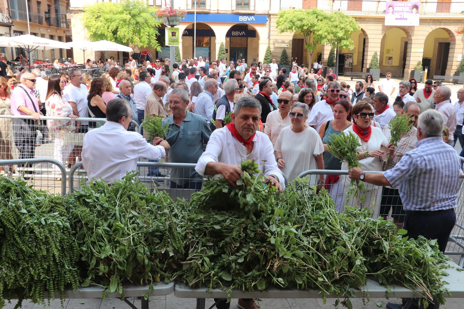 Día grande de las fiestas de Alfaro