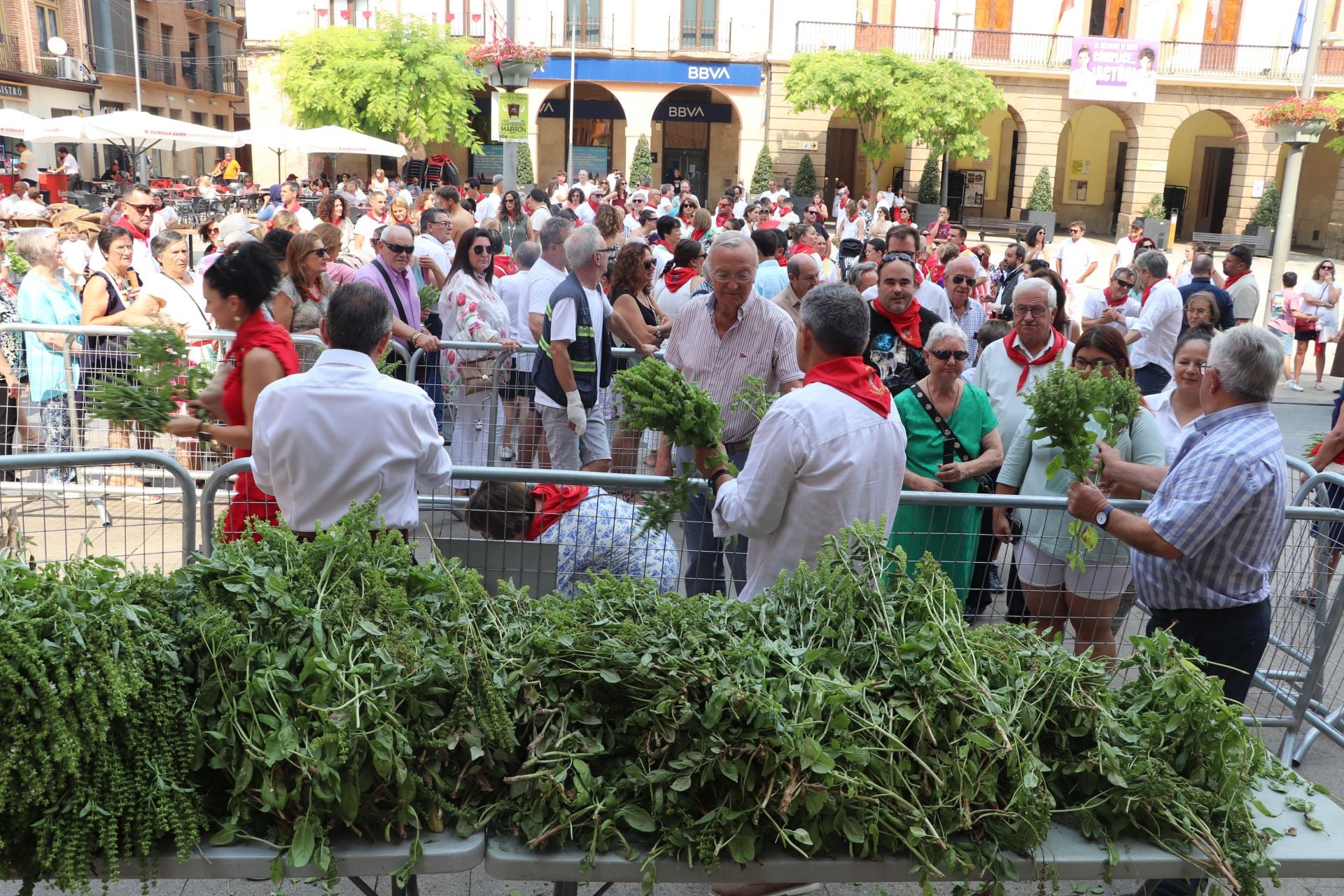 Día grande de las fiestas de Alfaro