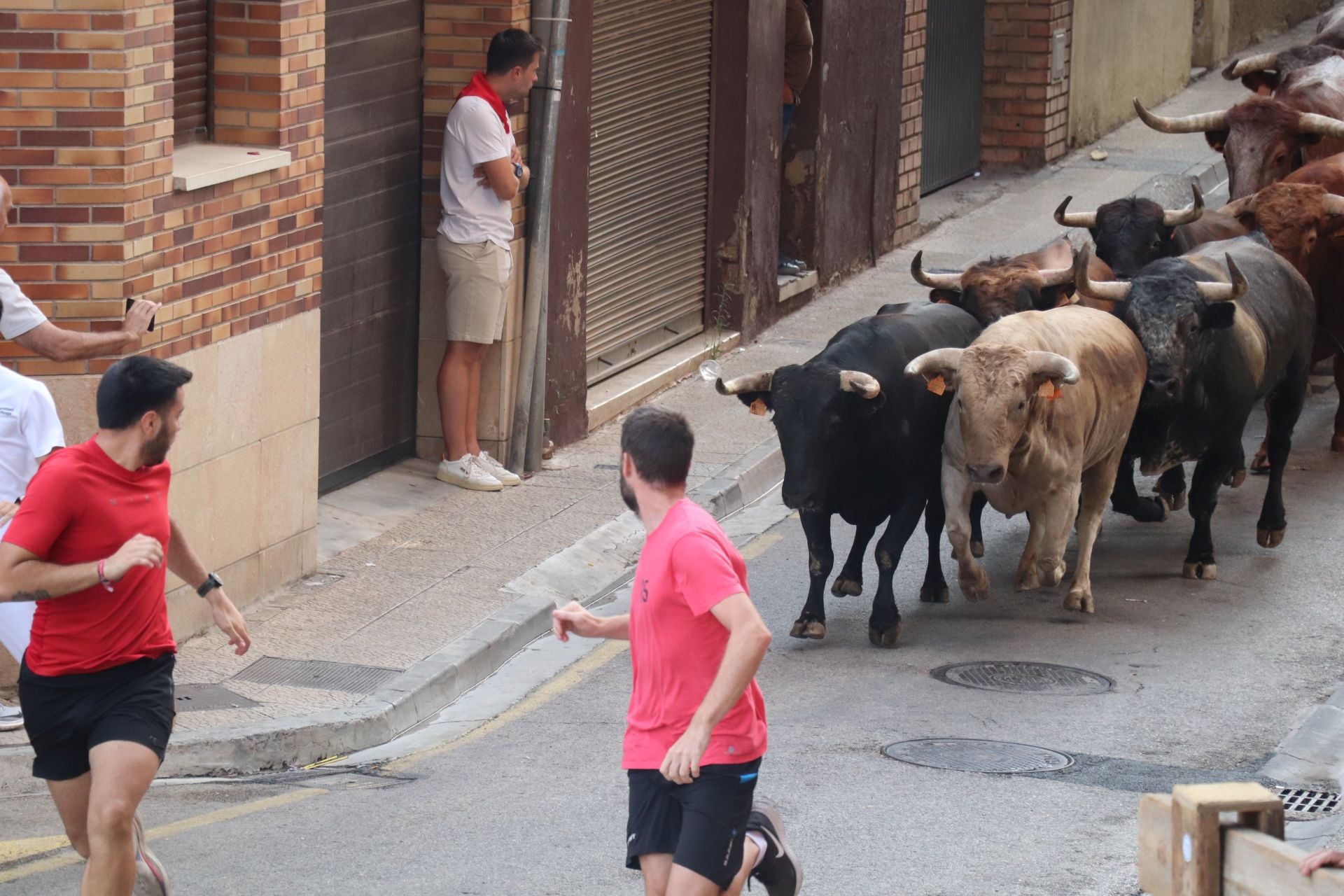 Alfaro honra a sus mayores en el domingo de fiestas