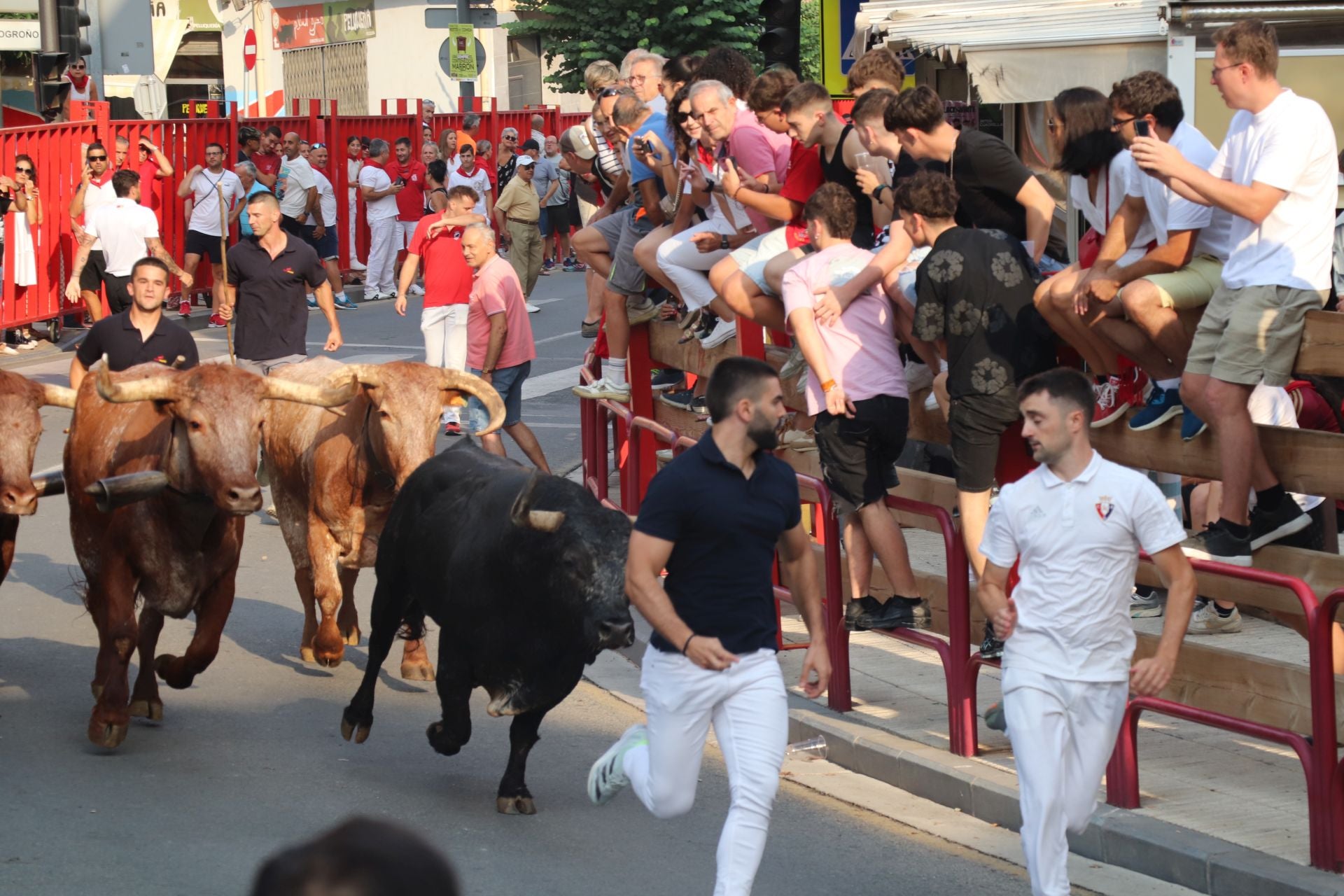 Alfaro honra a sus mayores en el domingo de fiestas