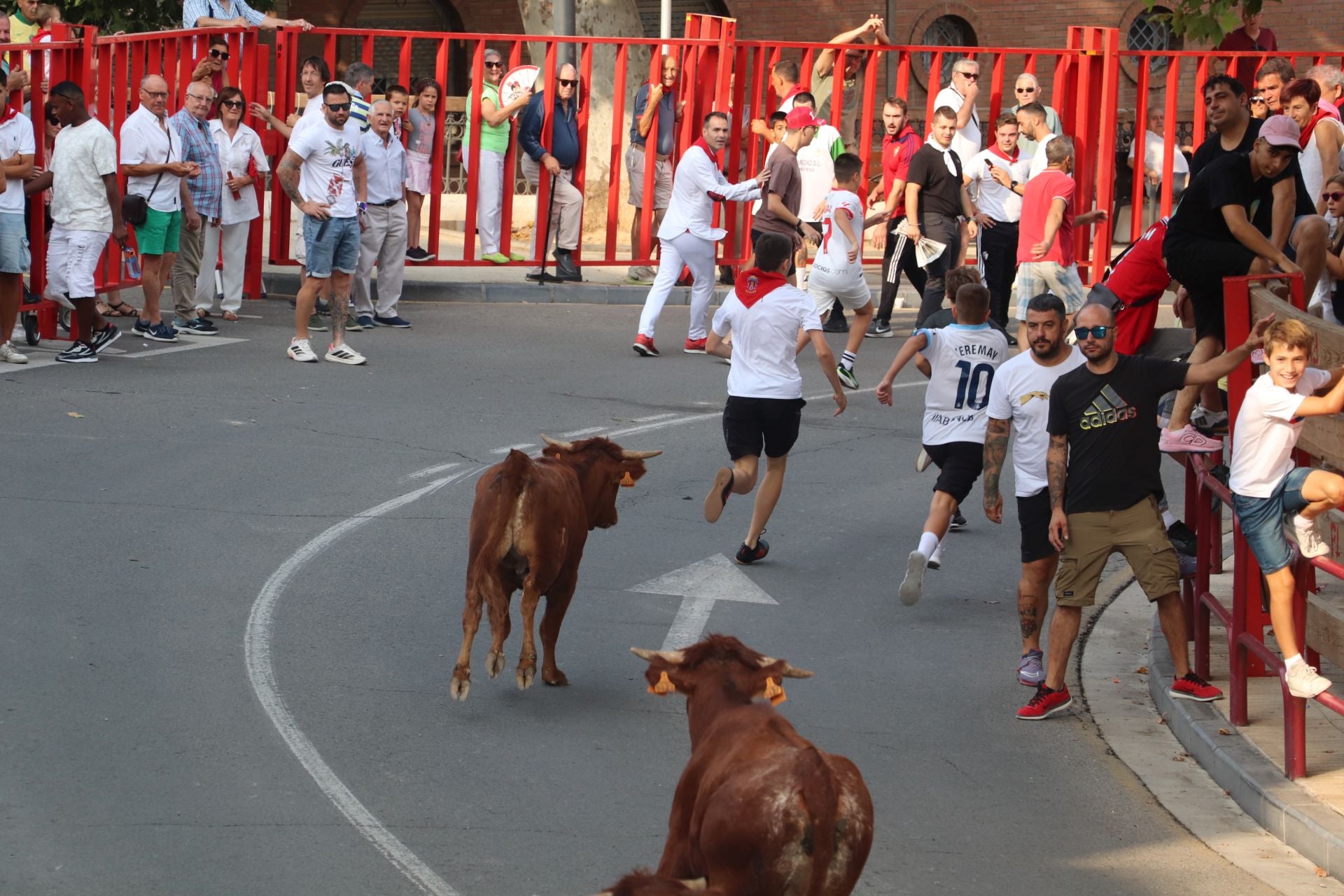 Alfaro honra a sus mayores en el domingo de fiestas
