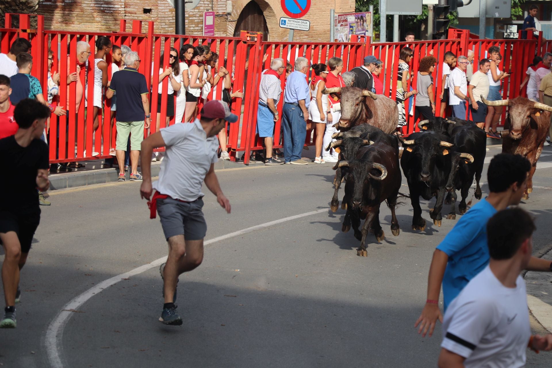 Un lunes de fiesta en Alfaro