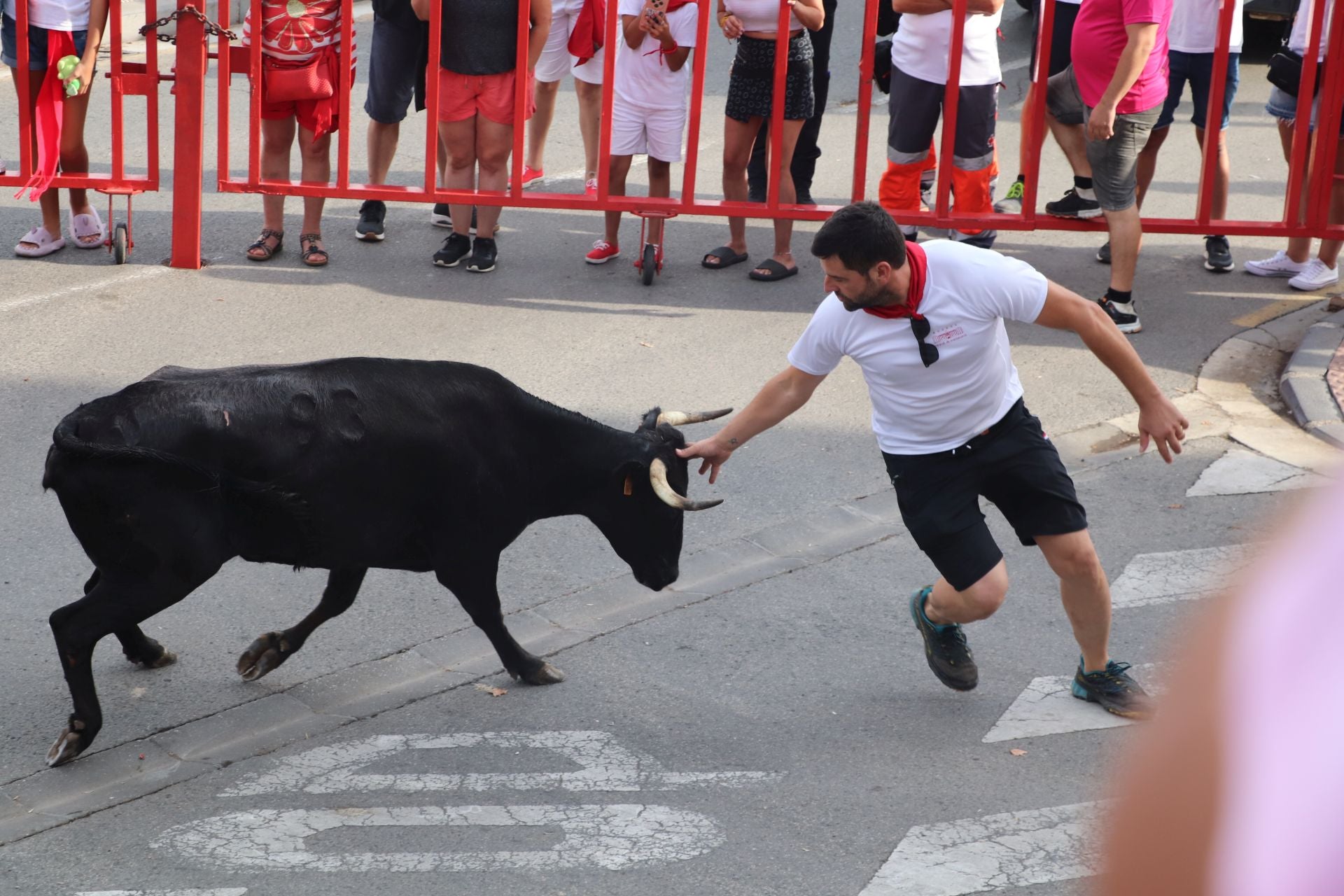 Un lunes de fiesta en Alfaro