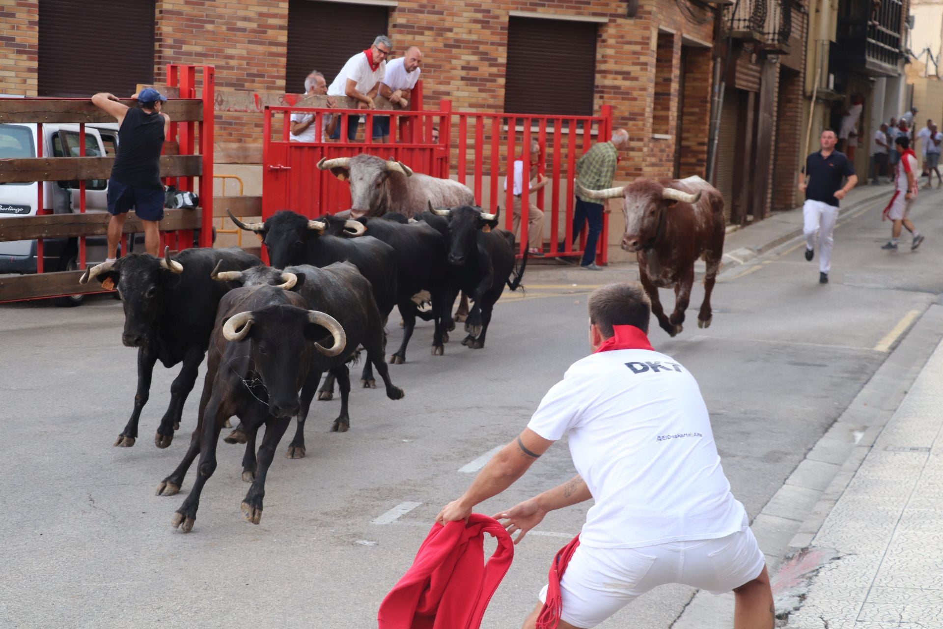 Un lunes de fiesta en Alfaro