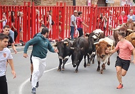 Comida popular y fiesta en el día joven en Alfaro