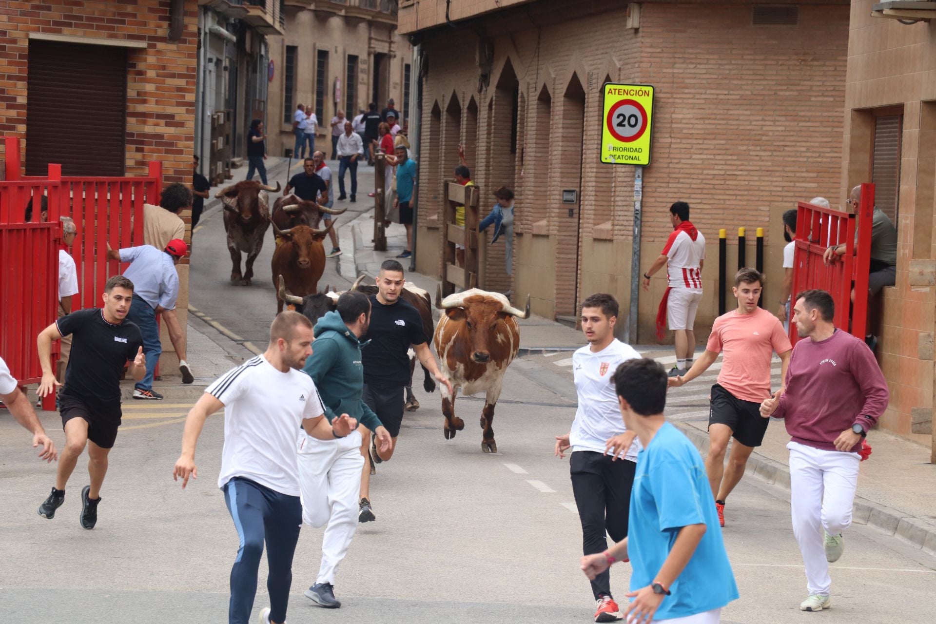 Comida popular y fiesta en el día joven en Alfaro