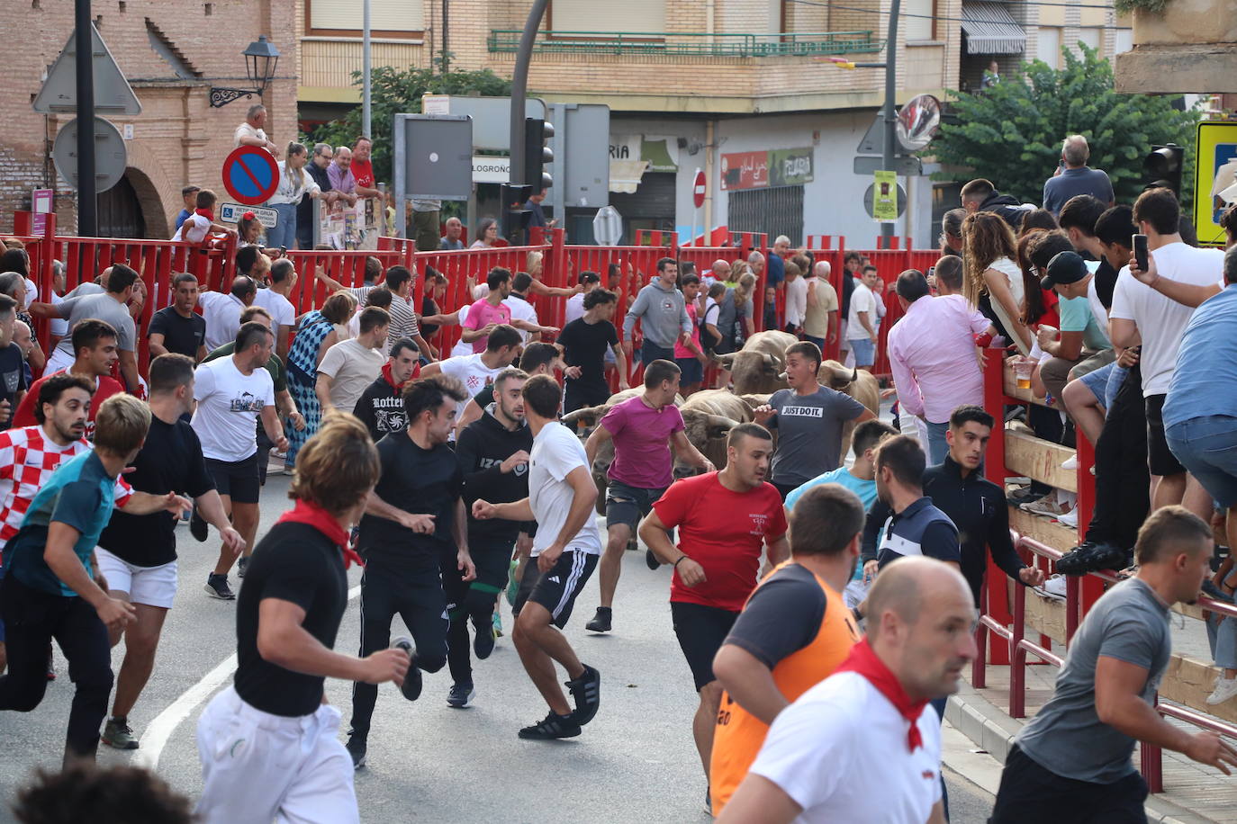 Las imágenes del último día de fiestas en Alfaro