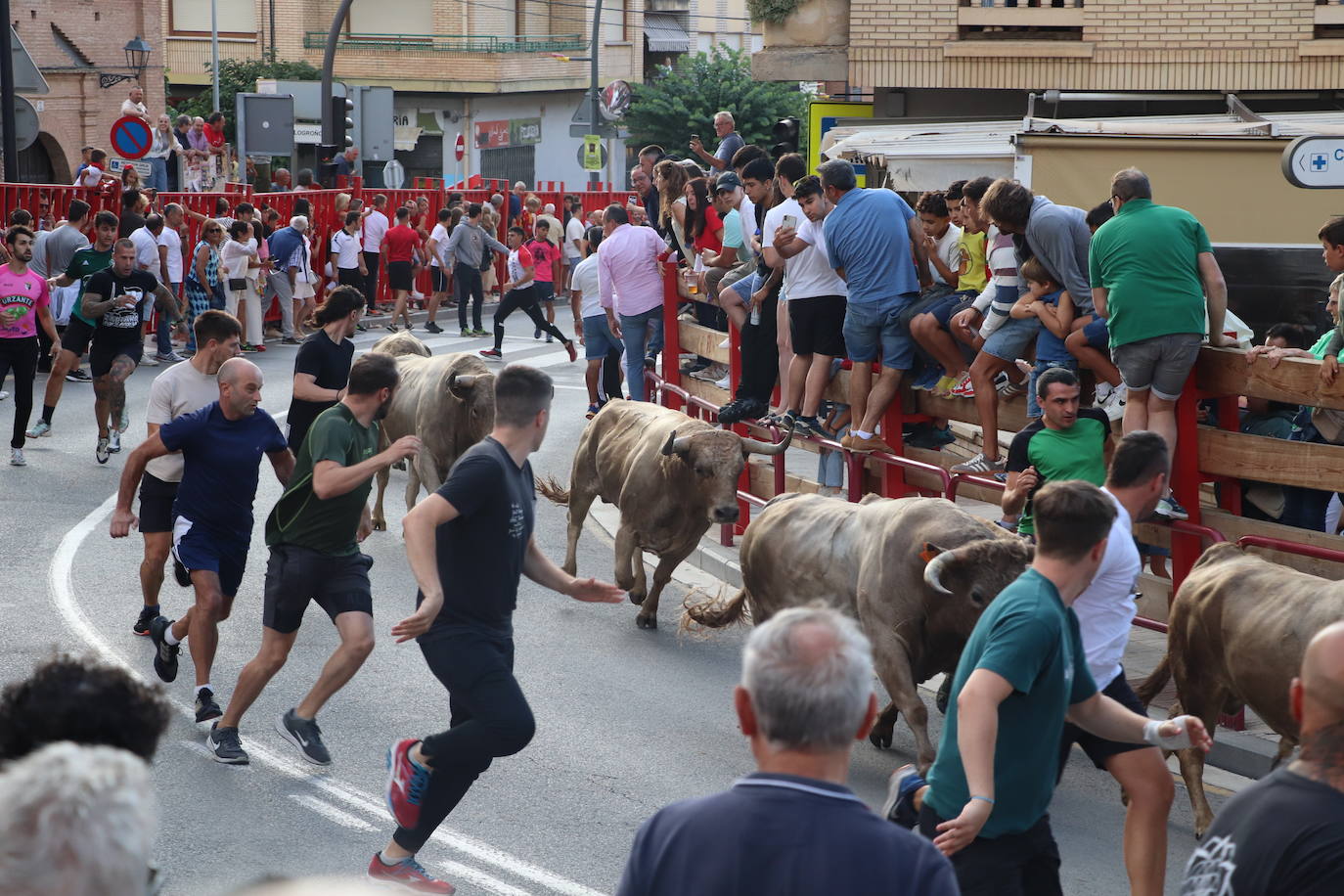 Las imágenes del último día de fiestas en Alfaro