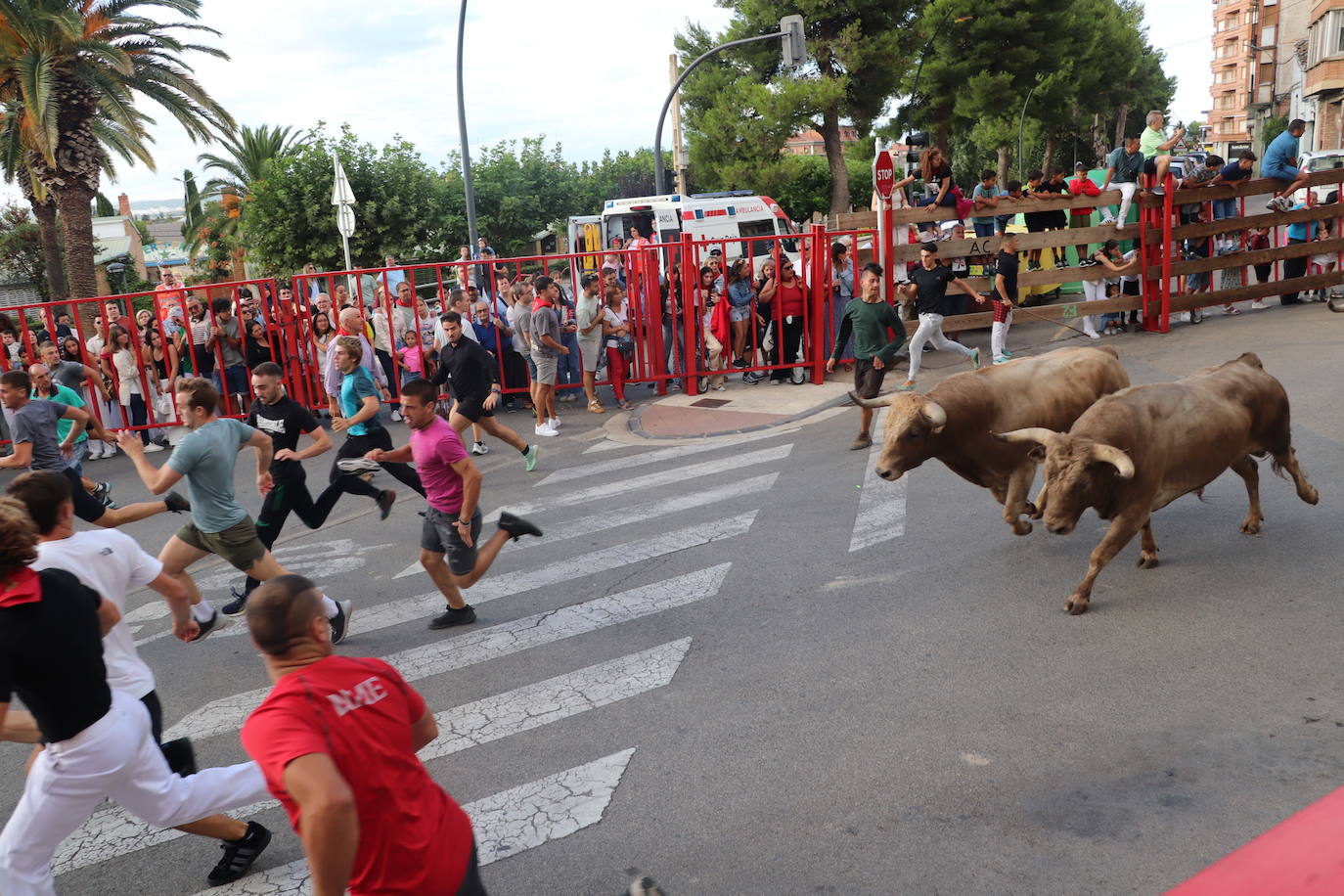 Las imágenes del último día de fiestas en Alfaro