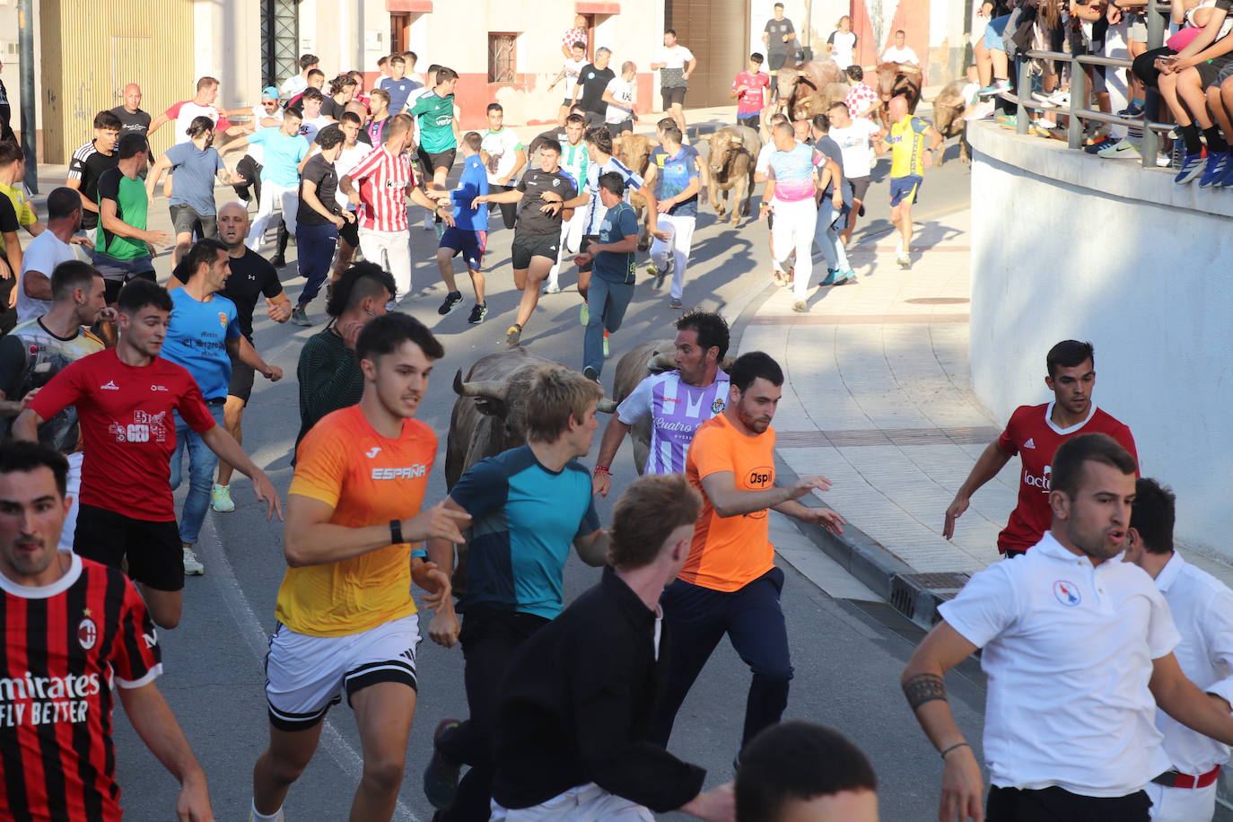 Las imágenes del último día de fiestas en Alfaro