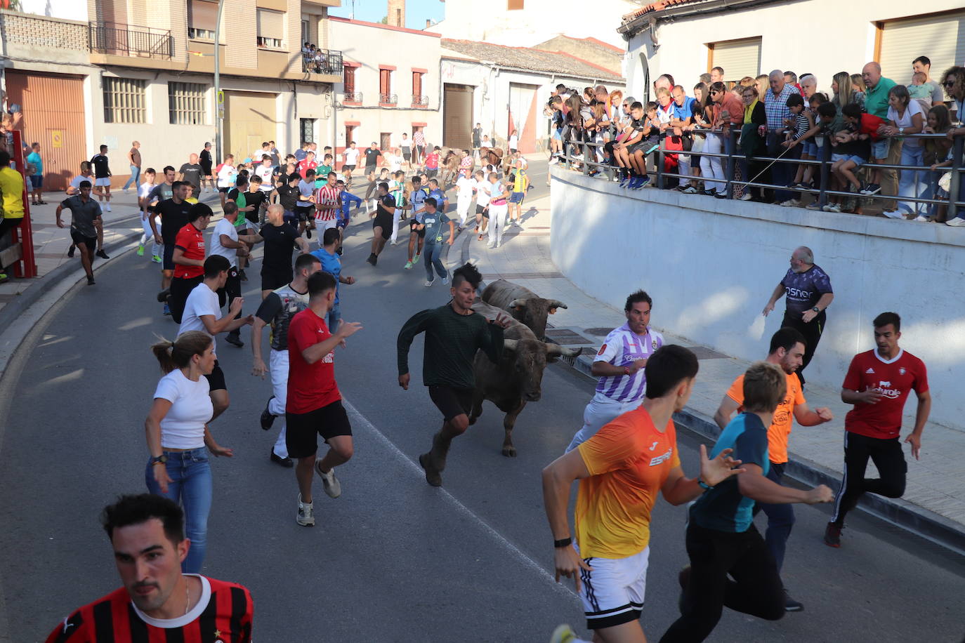 Las imágenes del último día de fiestas en Alfaro