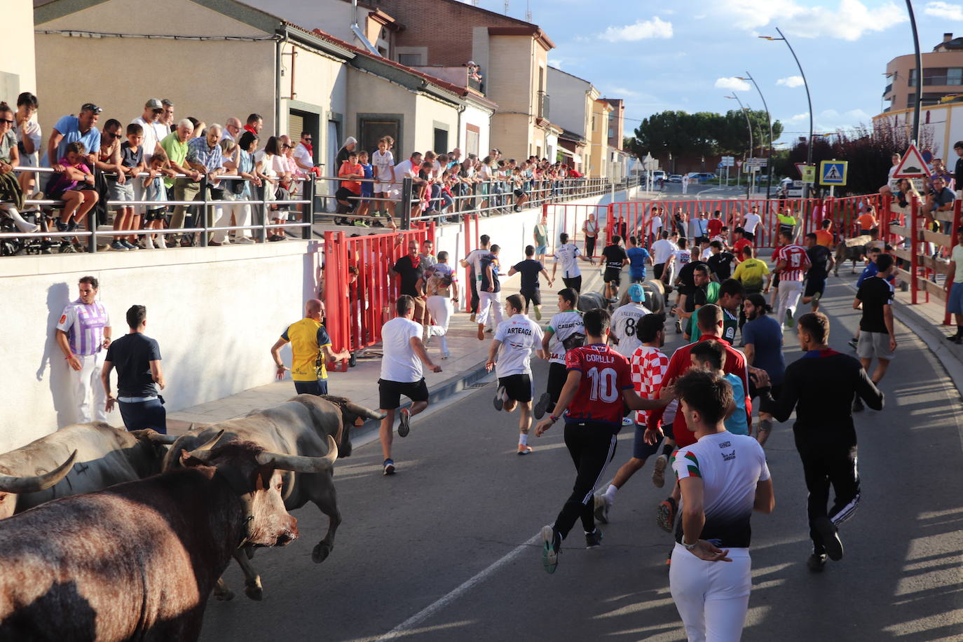 Las imágenes del último día de fiestas en Alfaro