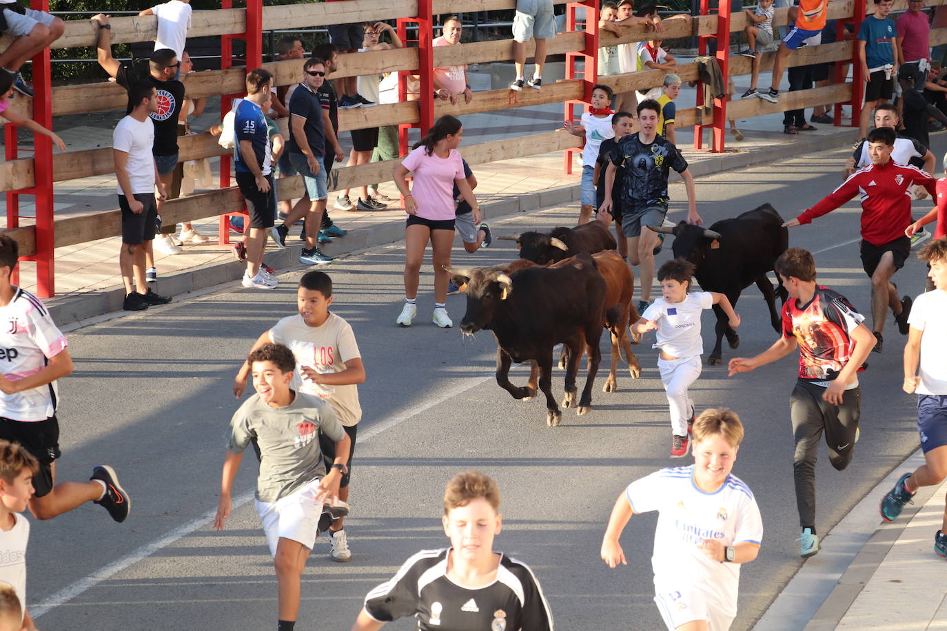 Las imágenes del último día de fiestas en Alfaro