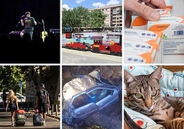 Noticias imprescindibles