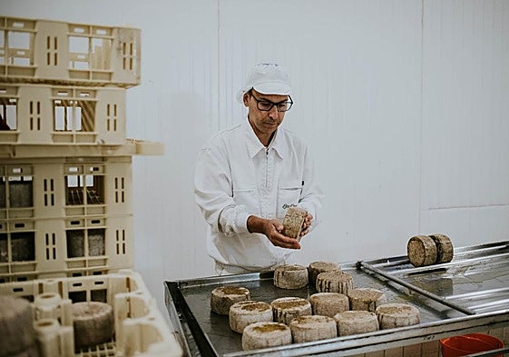 Proceso de producción en la empresa Los Cameros, en Haro.