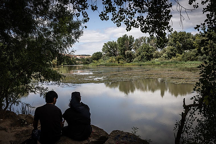 Aspecto del Ebro estos días, con el manto vegetal.