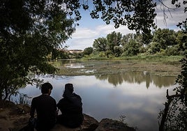 Aspecto del Ebro estos días, con el manto vegetal.