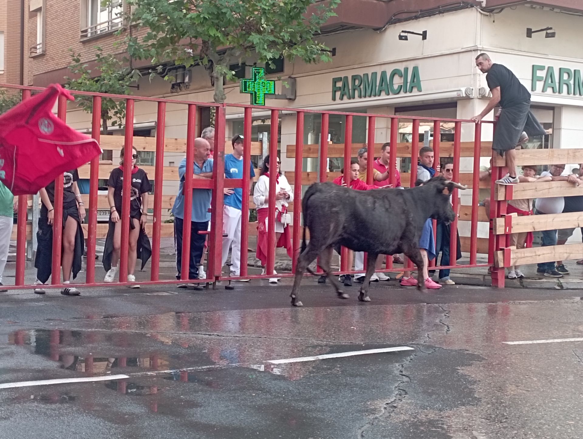 Un miércoles de fiesta en Calahorra