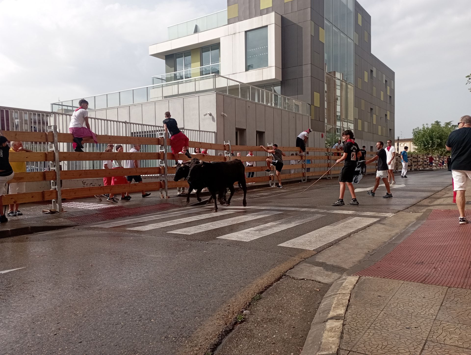 Un miércoles de fiesta en Calahorra