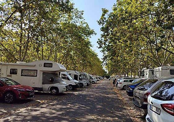 La espera en Urgencias y las terrazas en Logroño: en el Teléfono del Lector de hoy