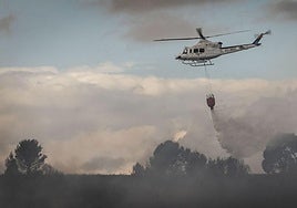 IU pide más presupuesto para gestión forestal y la estabilización de bomberos forestales