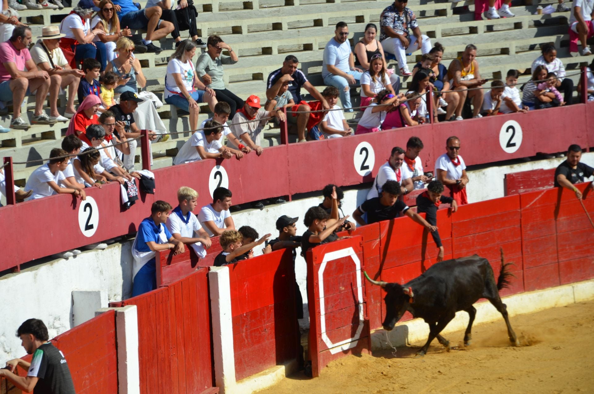 Las fiestas infantiles de Calahorra