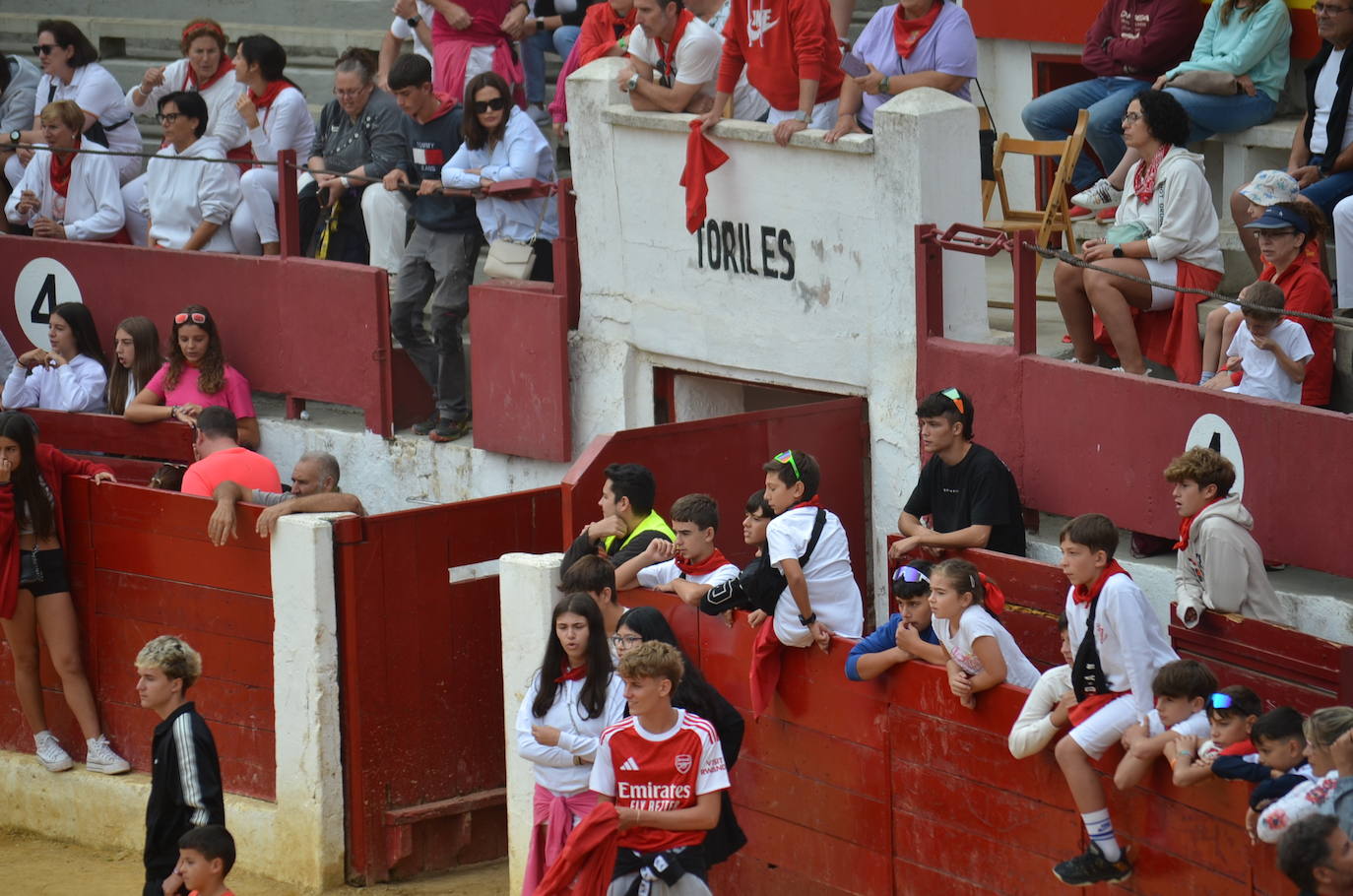 Las imágenes de las degustaciones, brindis y vacas en las fiestas de Calahorra