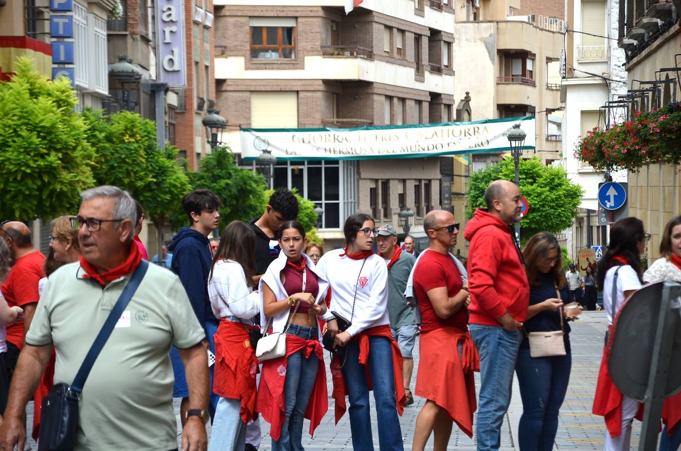 Las imágenes de las degustaciones, brindis y vacas en las fiestas de Calahorra