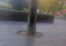 La limpieza del Casco Antiguo y las instalaciones de La Ribera en Logroño: el Teléfono del Lector de hoy