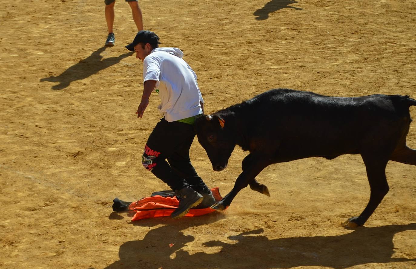 Las imágenes de las fiestas de Calahorra de este sábado