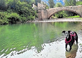 Espejo de agua acondicionado en Leza de Río Leza, con el puente de San Martín al fondo, donde se puede acudir con perro.