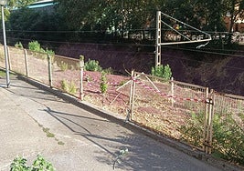 Más quejas por el ruido del MUWI y la procesión en Pradillo: el Teléfono del Lector de hoy
