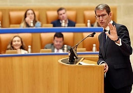 Gonzalo Capellán se dirige al pleno.