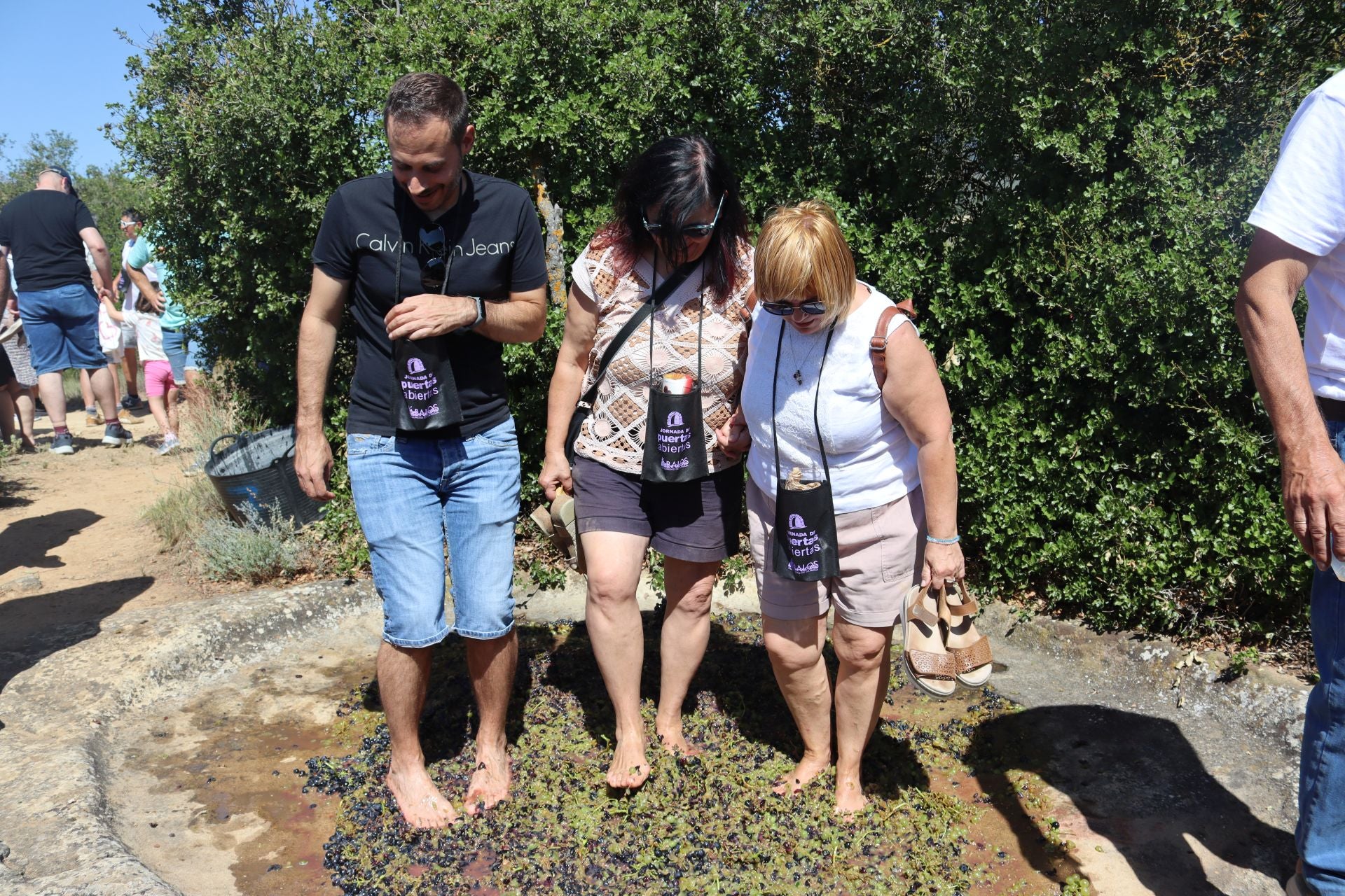 Jornada de Puertas Abiertas en Ábalos