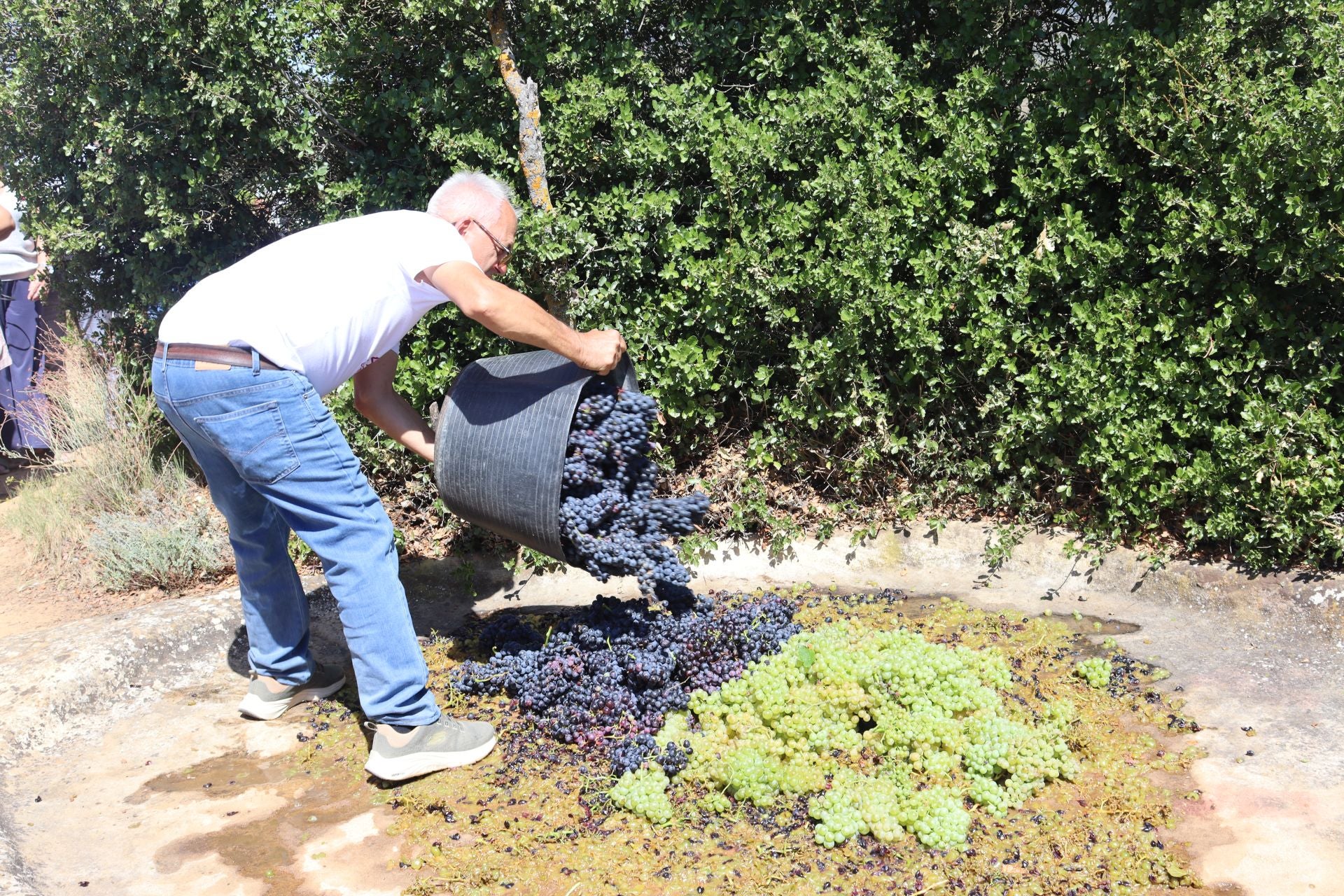 Jornada de Puertas Abiertas en Ábalos