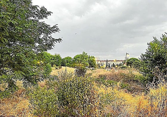 «Cualquier día sale un cocodrilo» por El Campillo, hoy en La Guindilla.