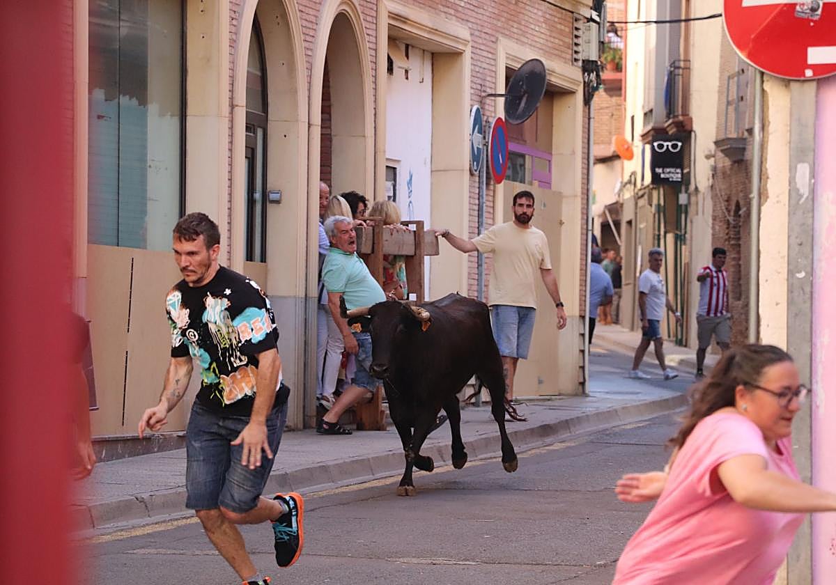 Las fiestas de Alfaro, en imágenes