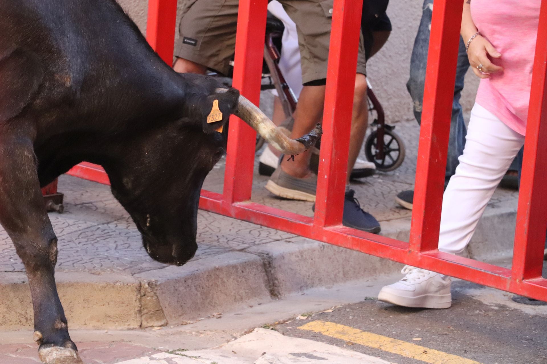 Las fiestas de Alfaro, en imágenes