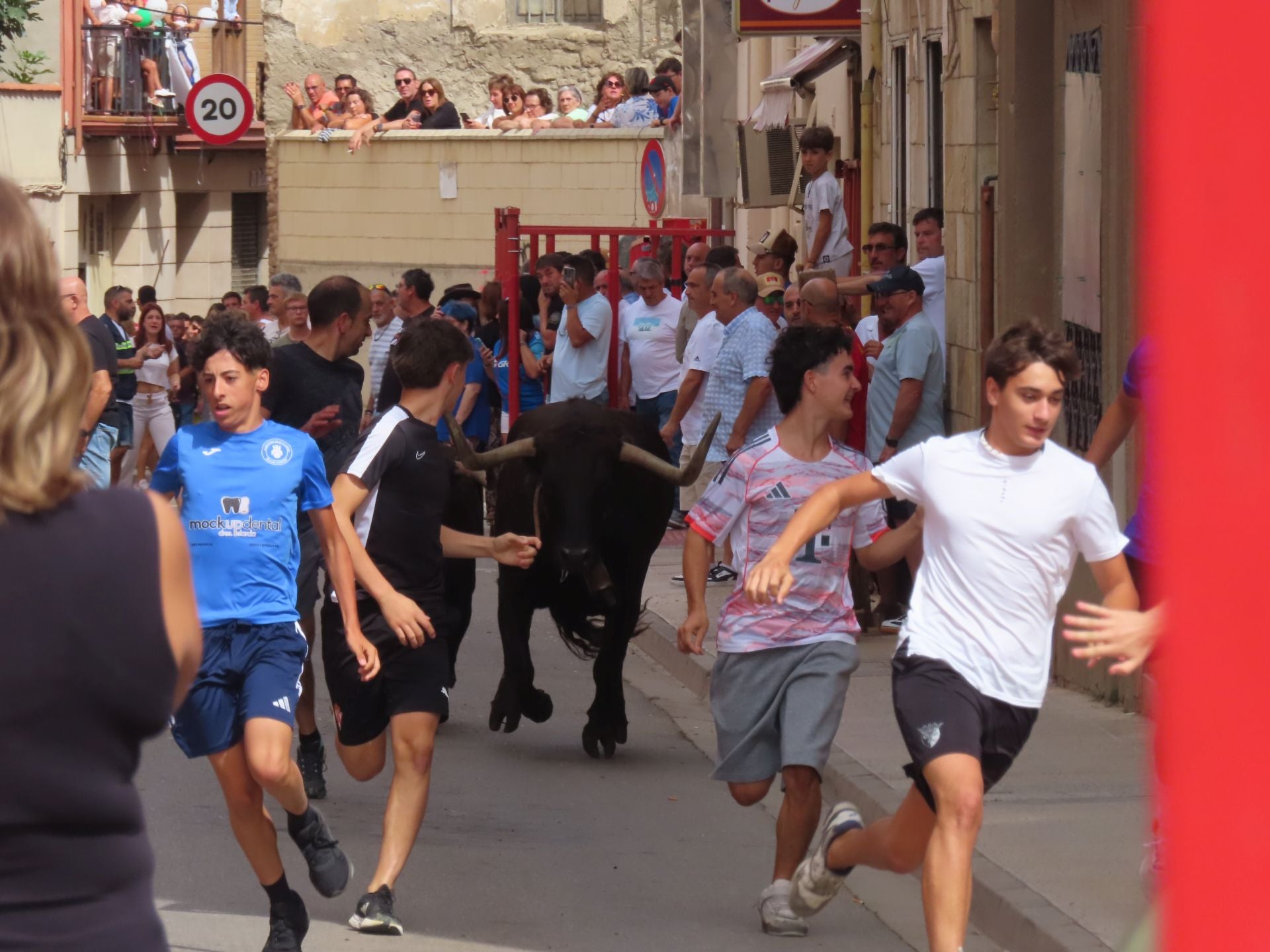 Alfaro celebra a la Virgen del Burgo