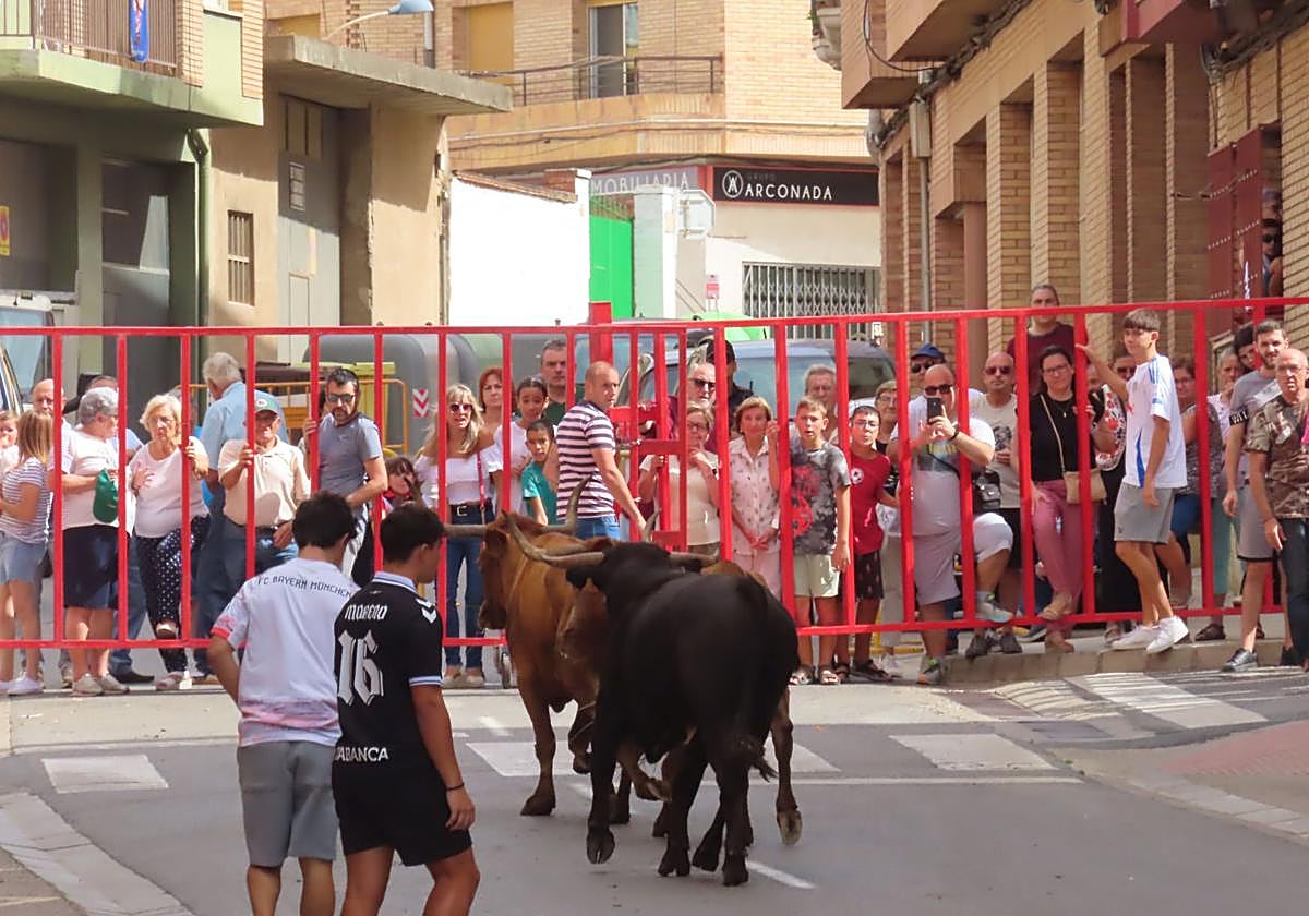 Alfaro celebra a la Virgen del Burgo