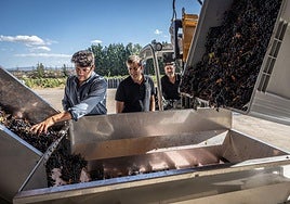Pablo Ruiz, tercera generación de Viña Ijalba, con Pedro Salguero, enólogo, en la mesa de selección