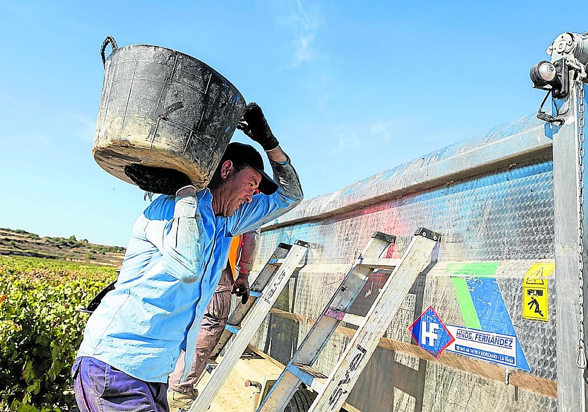 El sector agrario atrajo en 2024 a casi la mitad de trabajadores que llegaron a La Rioja desde otras regiones.