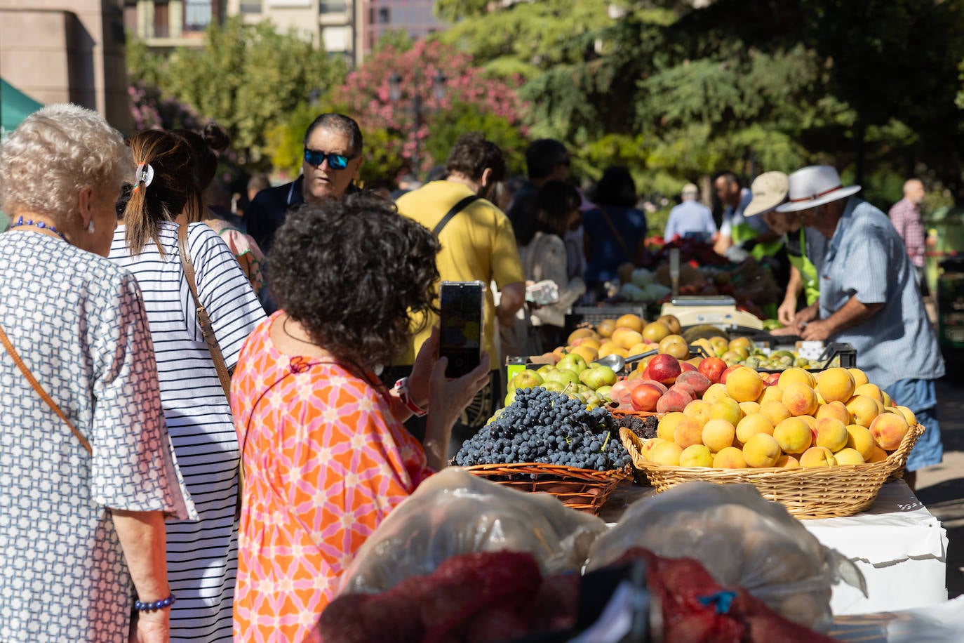 Las imágenes del Concurso Agrícola de La Rioja