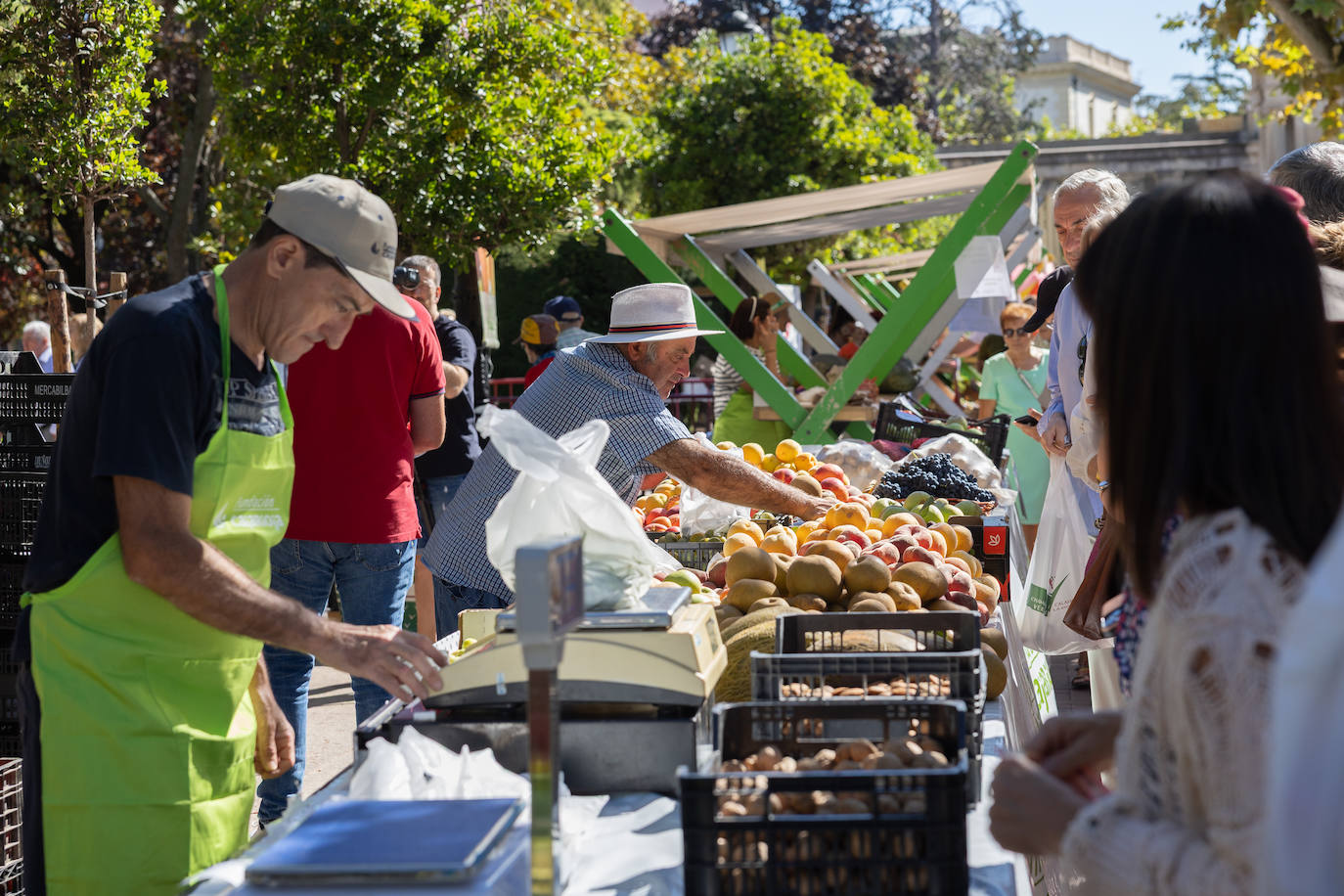 Las imágenes del Concurso Agrícola de La Rioja