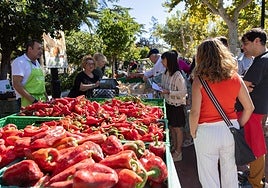 Las imágenes del Concurso Agrícola de La Rioja