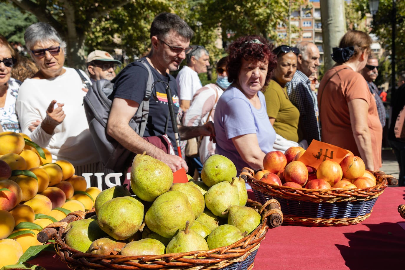Las imágenes del Concurso Agrícola de La Rioja